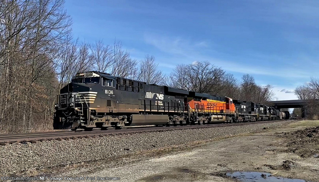 NS 8136 leads 13Q.